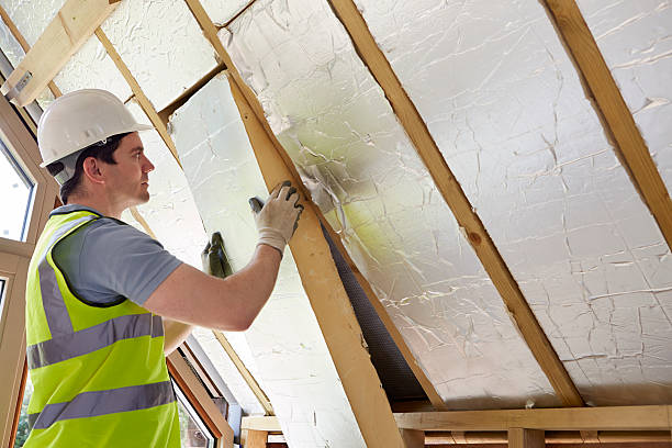 Best Commercial Insulation in Lindsay, TX