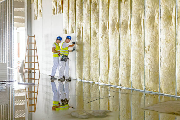 Best Commercial Insulation in Lindsay, TX